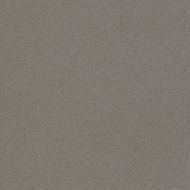 Grigio Topolino