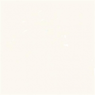 Bianco Assoluto