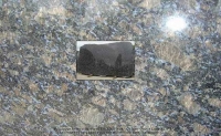 Sapphire Brown