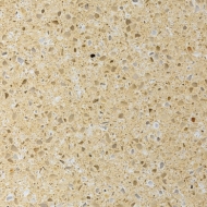 Crema Sasso