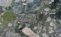 Verde Marinace