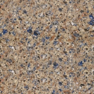 Azul Ugarit