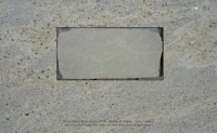 Kashmir White